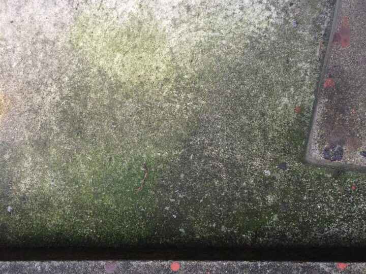 イメージ 外壁・屋根のコケ・藻